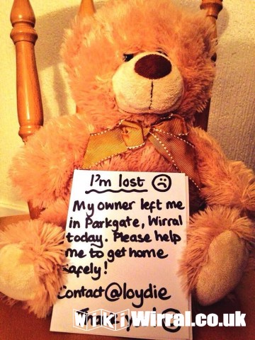 Attached picture Lost bear.jpg
